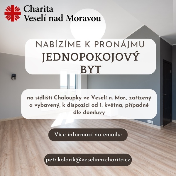 pronájem bytu
