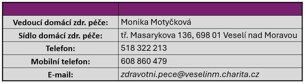 Domácí zdravotní péče - základní údaje 
